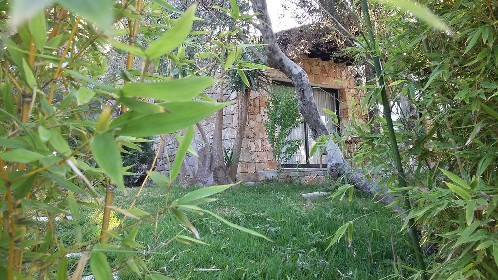 Tenuta Terenzano Torre San Giovanni Ugento Ngoại thất bức ảnh