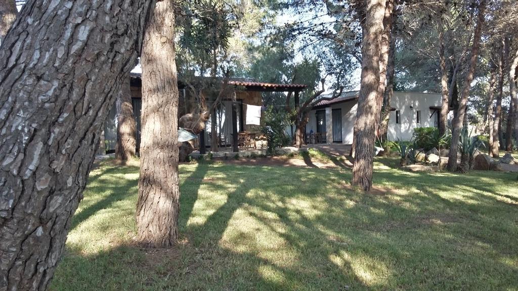Tenuta Terenzano Torre San Giovanni Ugento Ngoại thất bức ảnh